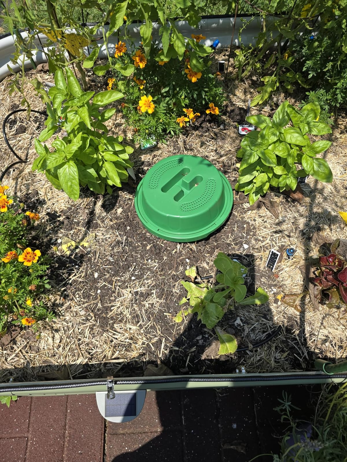 2-Pack Inground Worm Composter, Outdoor Worm Compost Bin for Garden Beds & Home Use, Vermicomposting Bin for Beginners (9.5x9.5x10.8Inch), Green customer photo 1