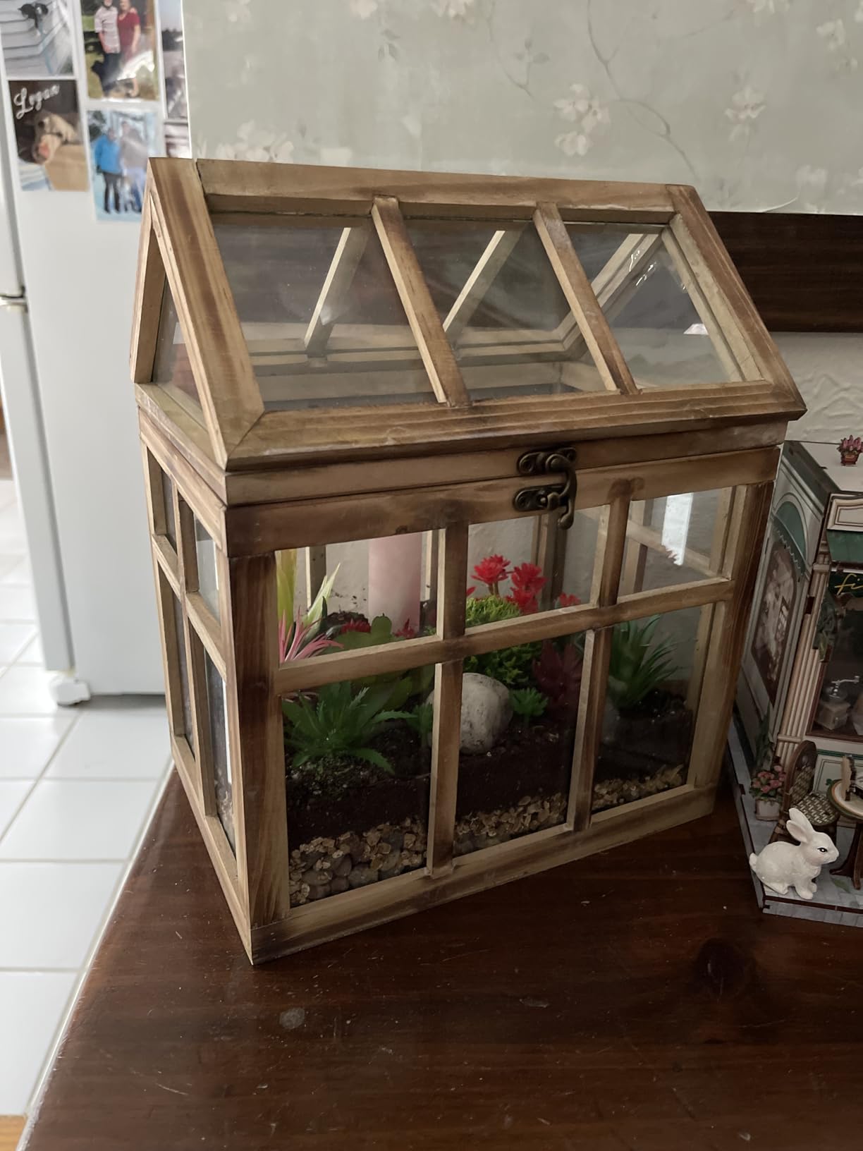 Orchid & Ivy Large Rustic Wood & Glass Plant Succulent Terrarium with Lid - 12
