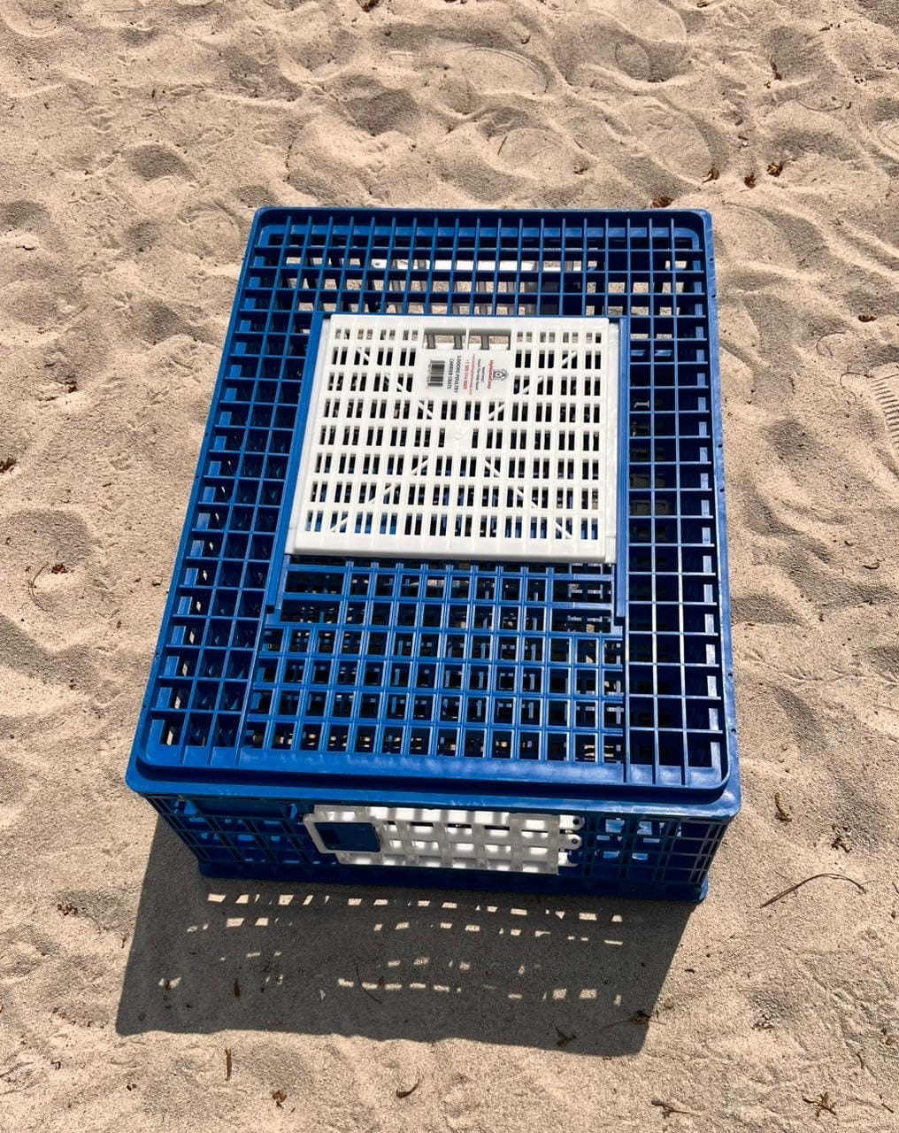Poultry Carrier Crate 3 Doors with Mess-Free Protective Pad, Durable Poultry Transport Cage for Chickens, Quail, Birds, Rabbits, Ducks customer photo 1