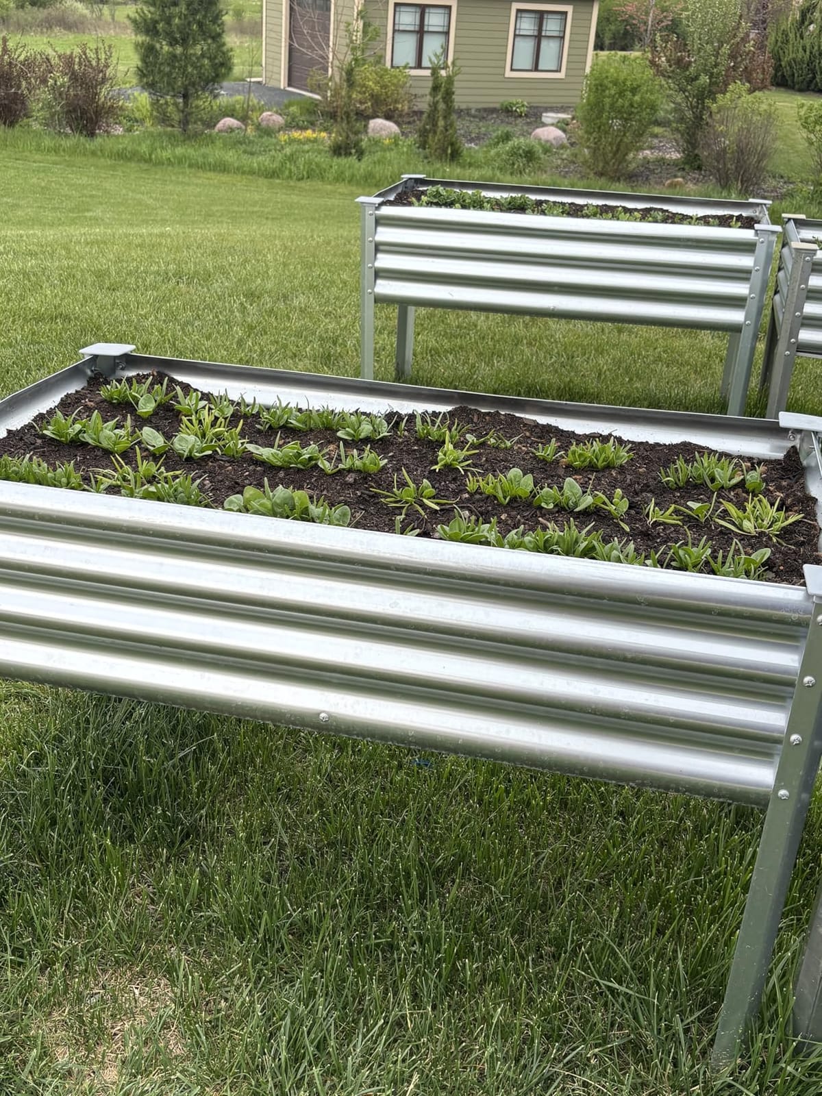 Land Guard 2 Pack Galvanized Raised Garden Bed with Legs, 48x24x32in Large Metal Elevated Raised Planter Box with Drainage Holes for Backyard, Patio, Balcony, 700lb Capacity customer photo 2