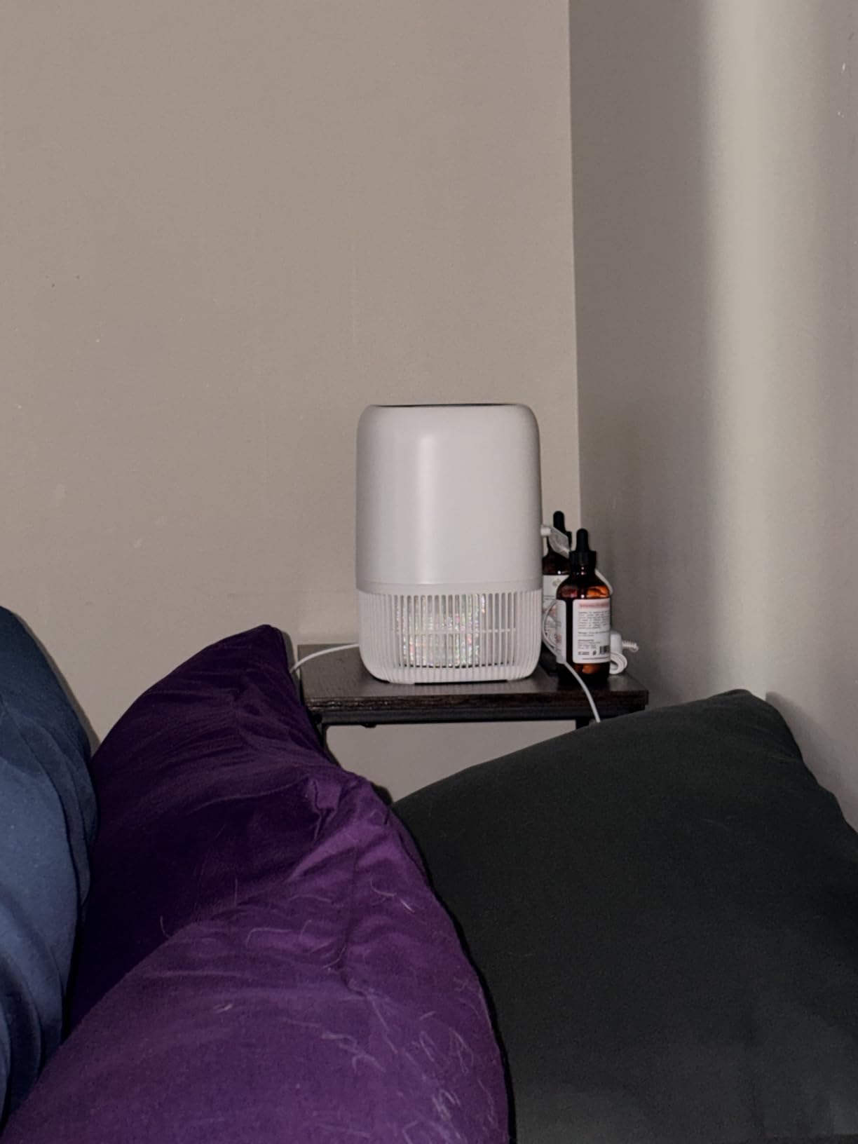 VOOPNU Air Purifiers for Home, High Efficiency Filter Up to 1076 Ft², White | for Pet Hair, Odors, Pollen, Smoke, Compact Air Cleaner with 3 Speeds, Timer, Aroma 22 dB Quiet 360°Intake, DH-JH12 customer photo 1