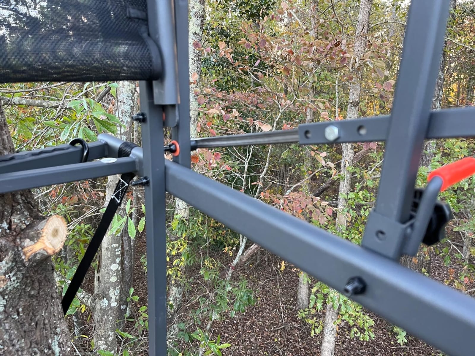 Guide Gear 15.5' Ladder Tree Stand for Hunting with Mesh Seat customer photo 2