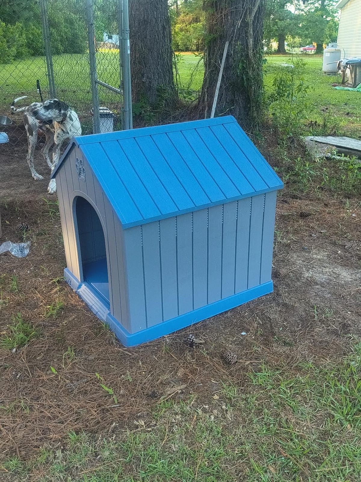 DRATO Large Dog House Indoor Outdoor Waterproof,Puppy Shelter with Air Vents and Elevated Floor,Sturdy Dog Kennel for Small to Large Sized Dogs, Easy to Assemble (Blue, 38.62×36.26×38.07 Inches) customer photo 2