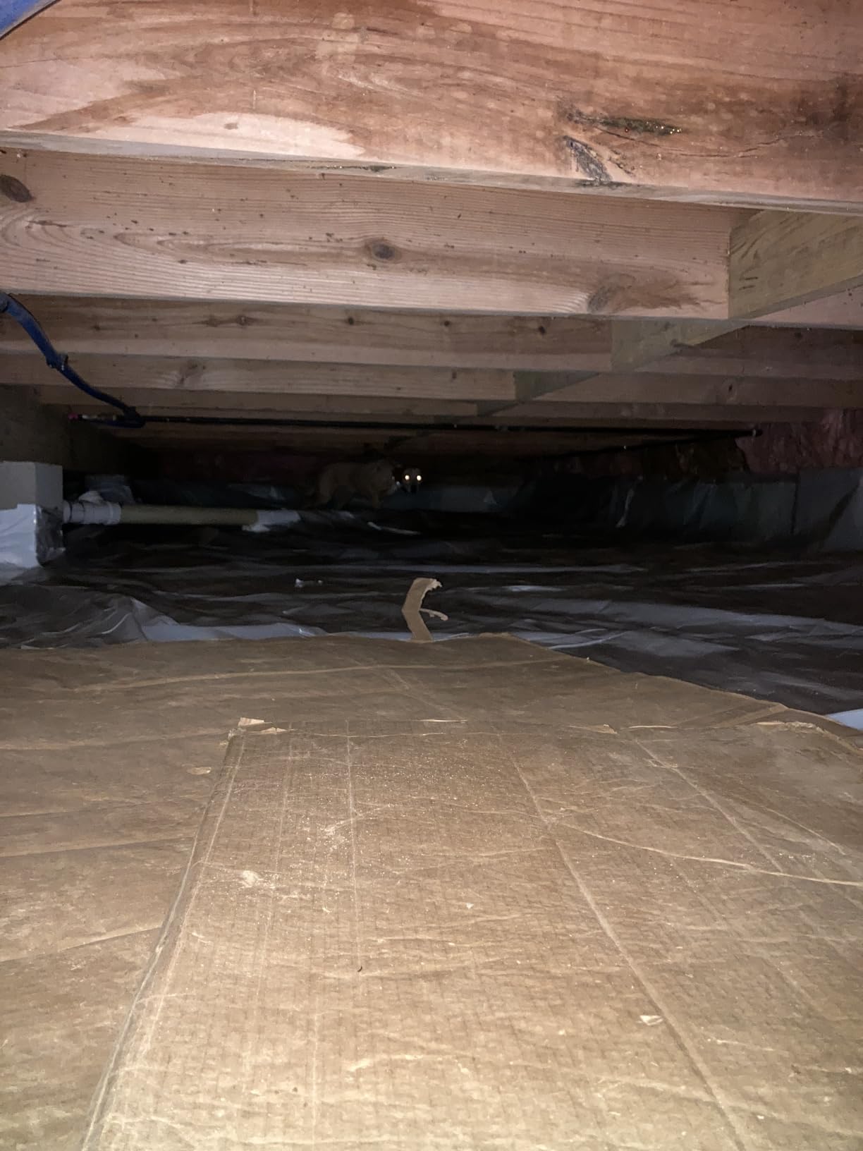 Yaufey 70 Pints Energy Star Commercial Dehumidifier with Drain Hose for 5000 Sq. Ft. Crawl Space, Basement, Industrial, 10-90% RH Humidity Control, 24/7 Continuous Drainage,TUV Certified,5-Yr Coverage customer photo 2