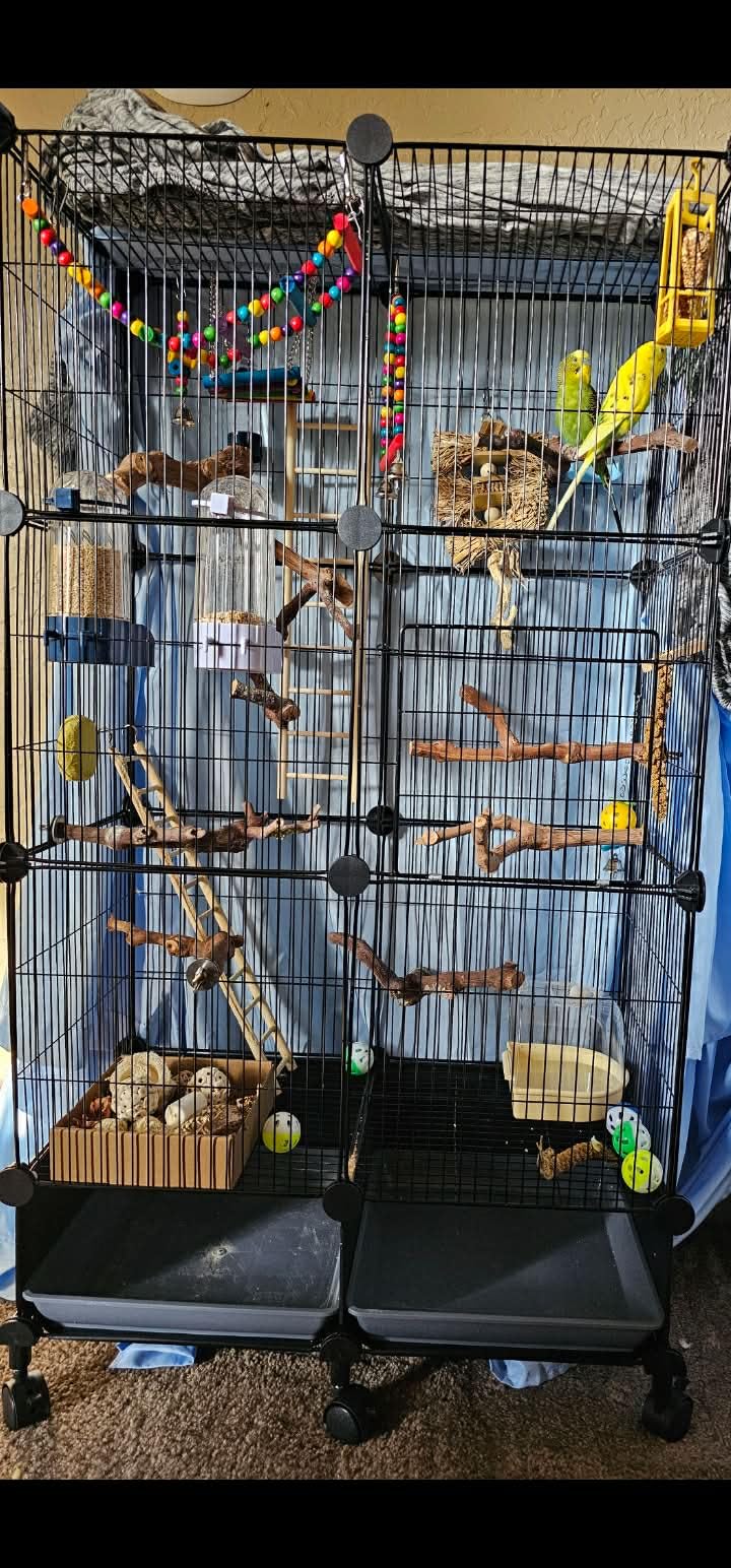 VISCOO Upgraded Encrypted Metal 46-Inch Bird Cage for Parrot Parakeets | Parakeet Cage with Wooden Perches, Slide-Out Tray, Water Bottle&Feeder for Cockatiel,Lovebird,Small Mid-Sized Birds customer photo 1