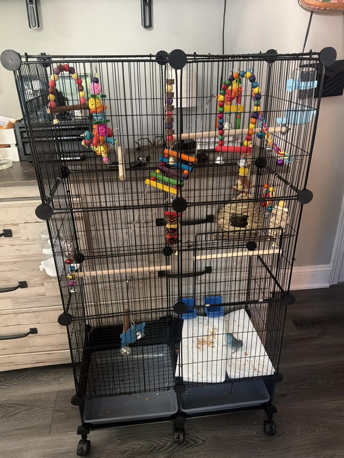VISCOO Upgraded Encrypted Metal 46-Inch Bird Cage for Parrot Parakeets | Parakeet Cage with Wooden Perches, Slide-Out Tray, Water Bottle&Feeder for Cockatiel,Lovebird,Small Mid-Sized Birds customer photo 2