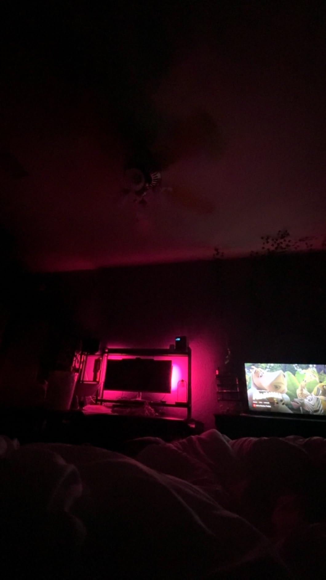 Govee Star Projector Lights, 7-Zone Nebula Effect, Compatible with Matter | 540ft Coverage, LED Night Lights for Bedroom, 50+ Scenes, 18 White Noise customer photo 2