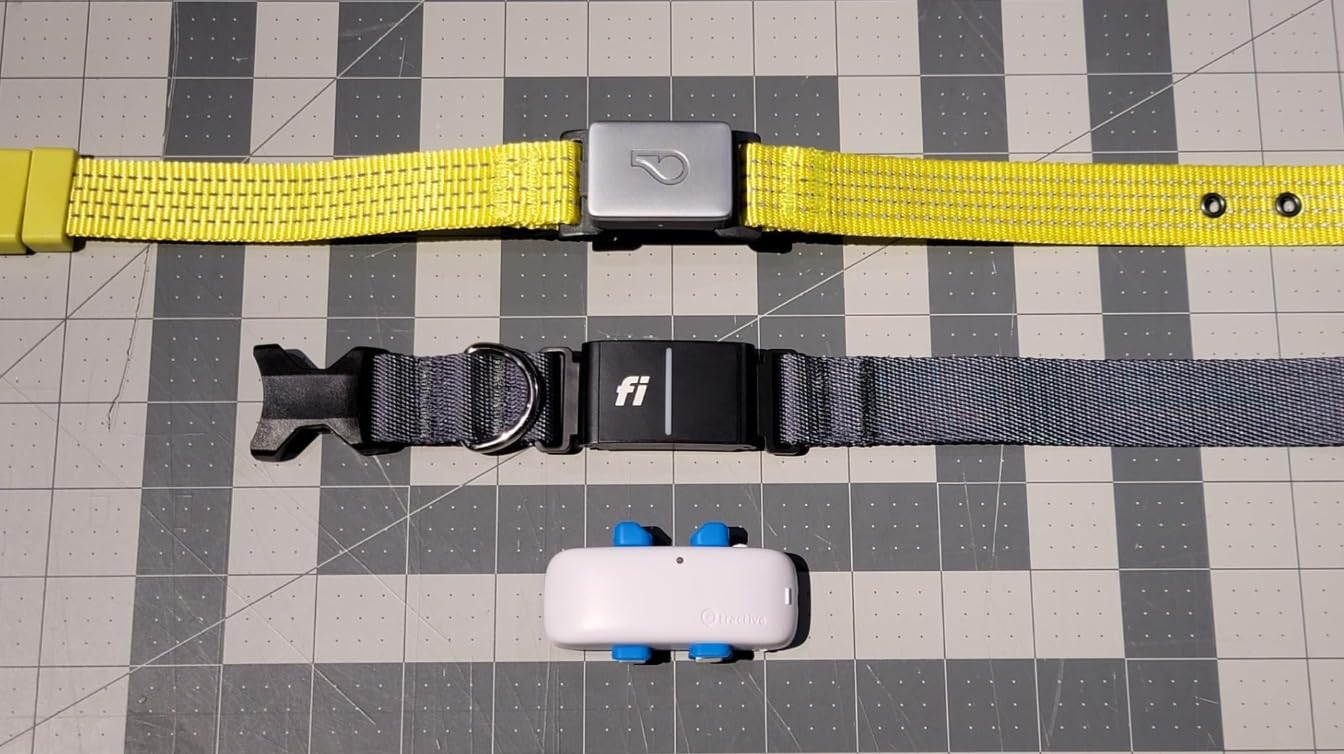 Fi Series 3+ GPS + Health Dog Collar, Blue, Large, 12-Month Membership | Smart GPS dog collar with live tracking, health & behavior, Escape Alerts, LED light. Waterproof and Apple Watch compatible. customer photo 1