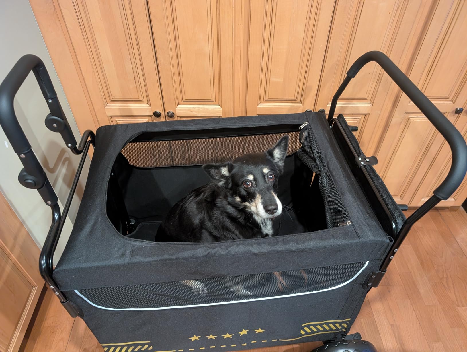 All Terrain Pet Stroller for Medium & Large Dogs with Ramp | Foldable Dog Stroller with Brakes, 3 Entrances, Dual Adjustable Handles with Reversible Push, 160lbs Weight Capacity customer photo 2