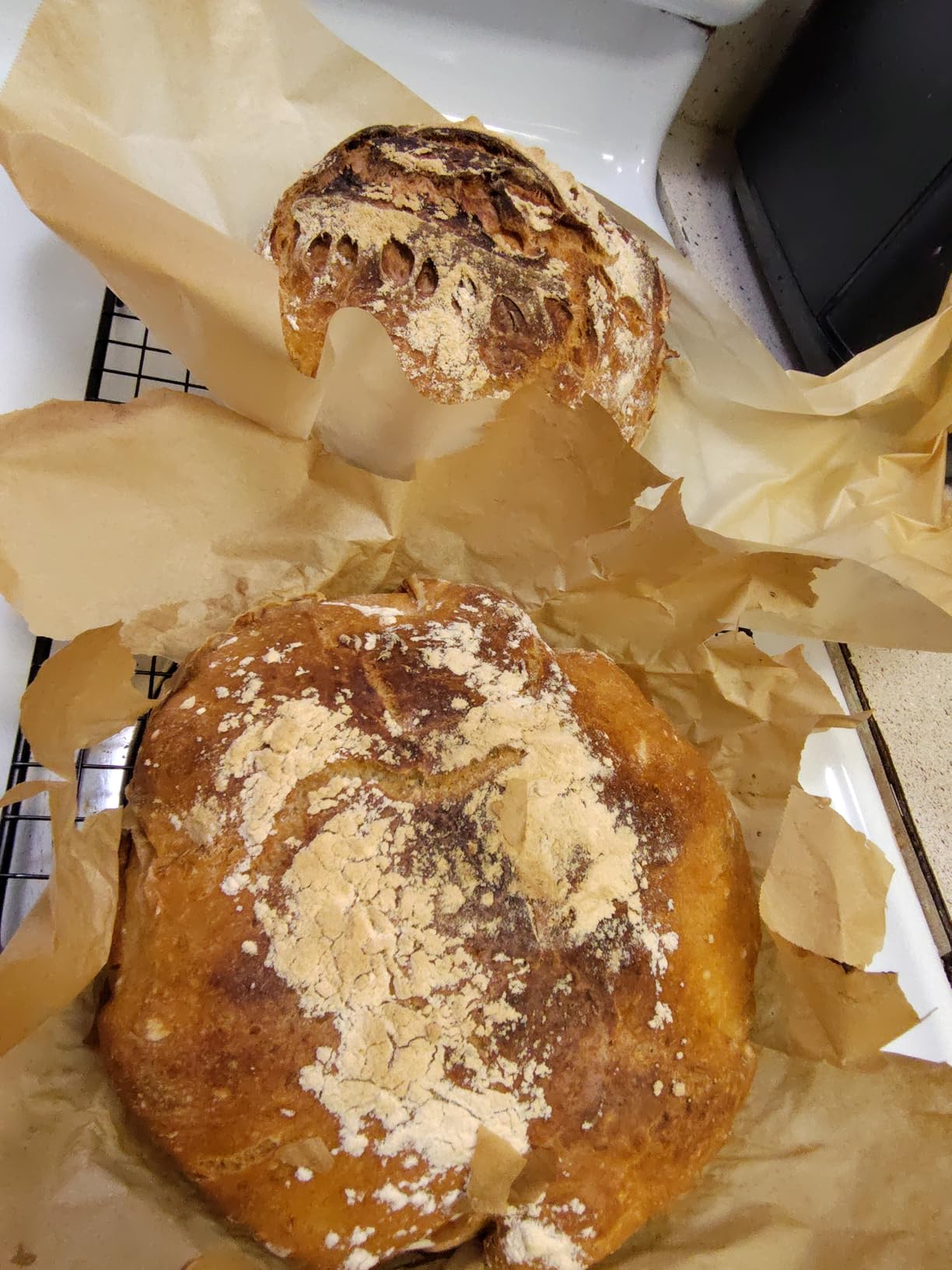 Bread Proofing Box with Heater 50-130°F customer photo 2