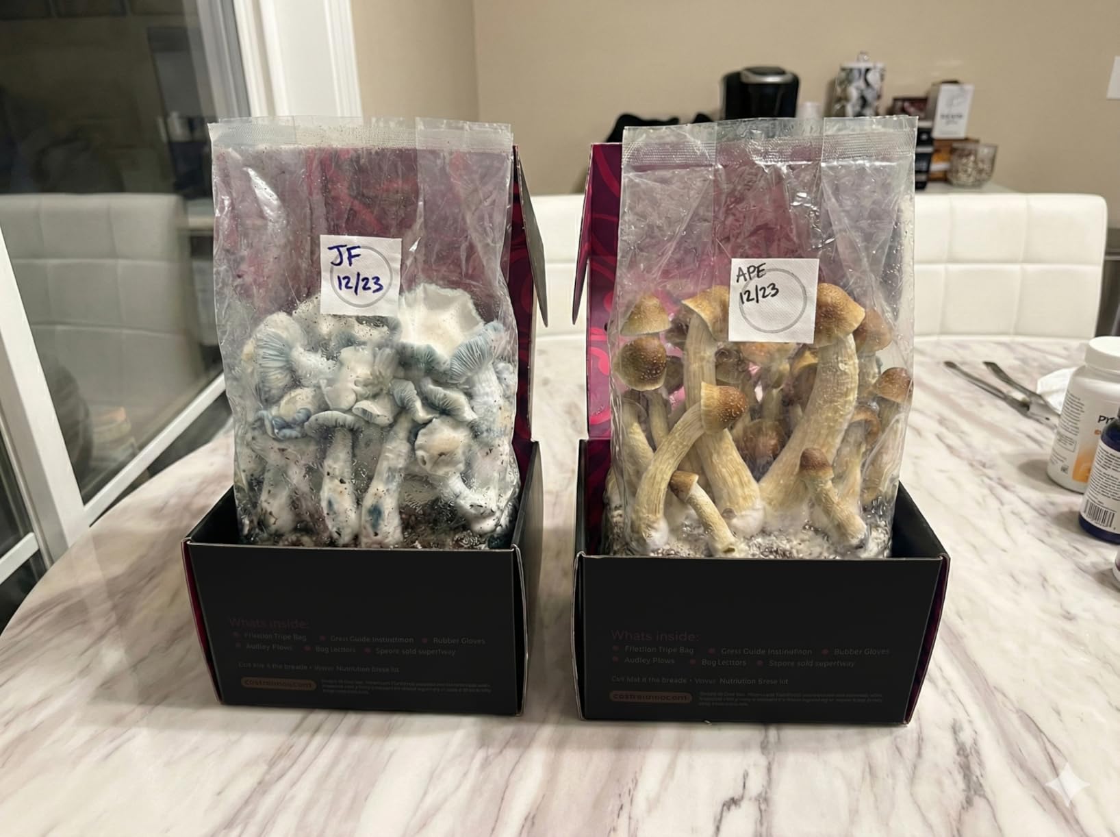 Mushroom Grow Kit - All-in-One 4LB Grow Bag with Self-Healing Port - Fast-Colonizing Universal Substrate for Any Mushroom - Multi-Flush High-Yield - USA Made customer photo 2