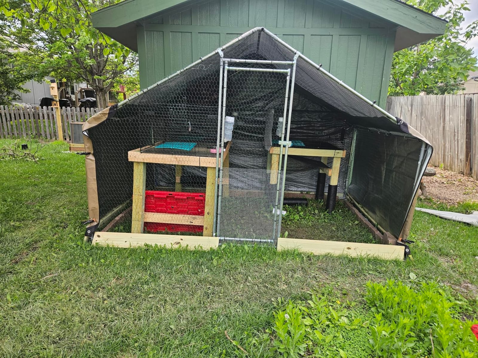 VEVOR Large Metal Chicken Coop, 9.8 x 9.8 x 6.6 ft, Walk-in Chicken Run House with Waterproof Cover & Sturdy Frame, Spire Roof Poultry Cage Duck Pen for Rabbit Hen Goose Outdoor Backyard Farm Use customer photo 1