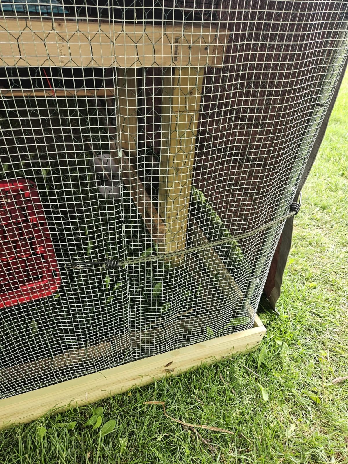 VEVOR Large Metal Chicken Coop, 9.8 x 9.8 x 6.6 ft, Walk-in Chicken Run House with Waterproof Cover & Sturdy Frame, Spire Roof Poultry Cage Duck Pen for Rabbit Hen Goose Outdoor Backyard Farm Use customer photo 2