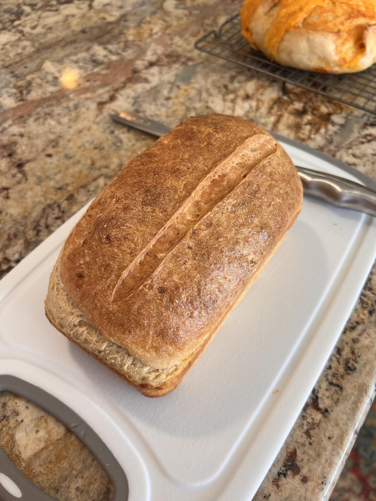 Cozy Bread Proofing Mat & Insulation Box Kit customer photo 1