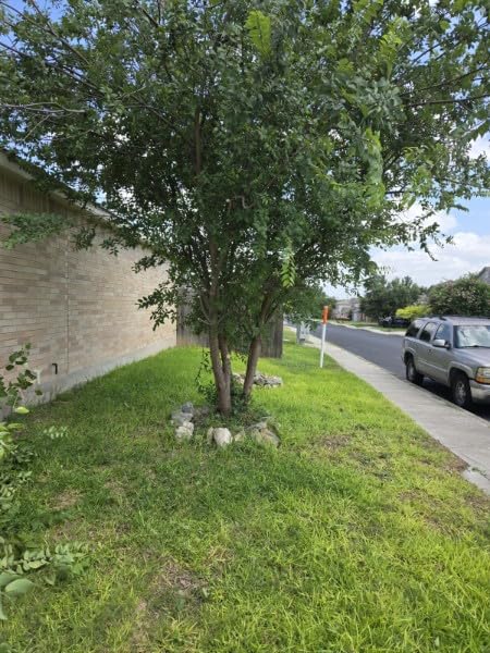Supstable Cordless Pole Saw & Hedge Trimmer 6-in-1, 15Ft Reach, Extendable Tree Pruner customer photo 1