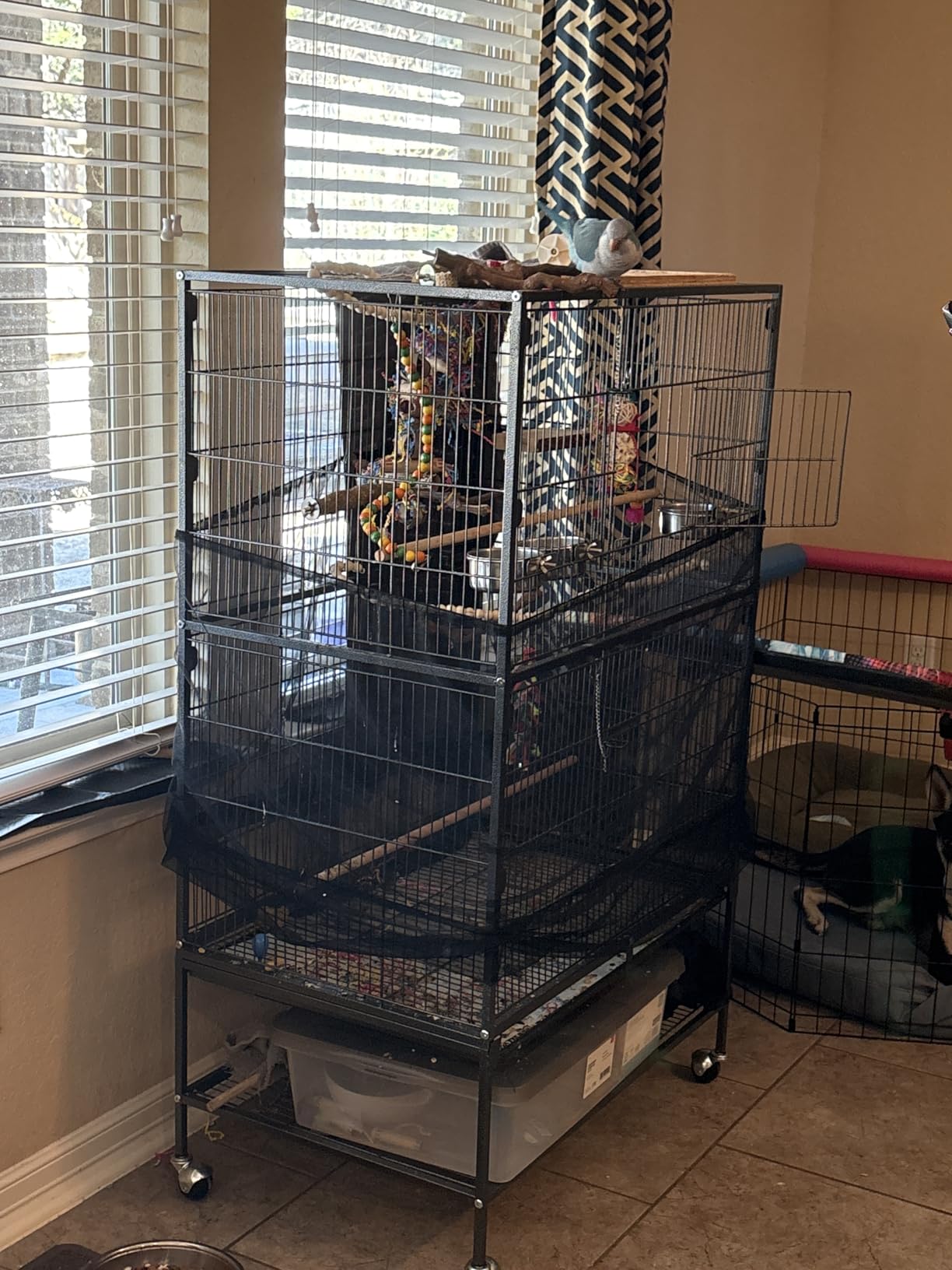 VEVOR Bird Cage, 31.5 x 20.5 x 52 inch, Flat Top, Wrought Iron Bird Flight Cage with Perches, Slide-Out Tray and Plastic Feeders, Casters, for Parrot, Blue Tit, Cockatiel, Canary, and Monk Parakeet customer photo 1