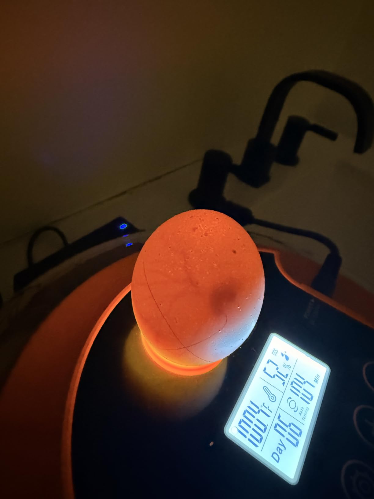18 Egg Incubators for Hatching Eggs, Automatic Egg Turning and Humidity Control Incubator for Hatch Chicken Duck Quail Pigeon Pheasant Partridge Home Classroom Lab customer photo 2