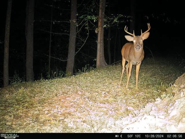 TACTACAM Reveal Pro 3.0 Cellular Trail Camera - Multi-Cellular Network, GPS, 2