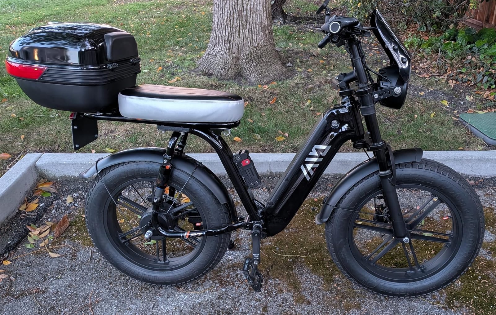 TST Electric Bike for Adults, 1500W Peak Motor 60 Miles Fat Tire Ebike with 48V 15Ah Removable Battery 20