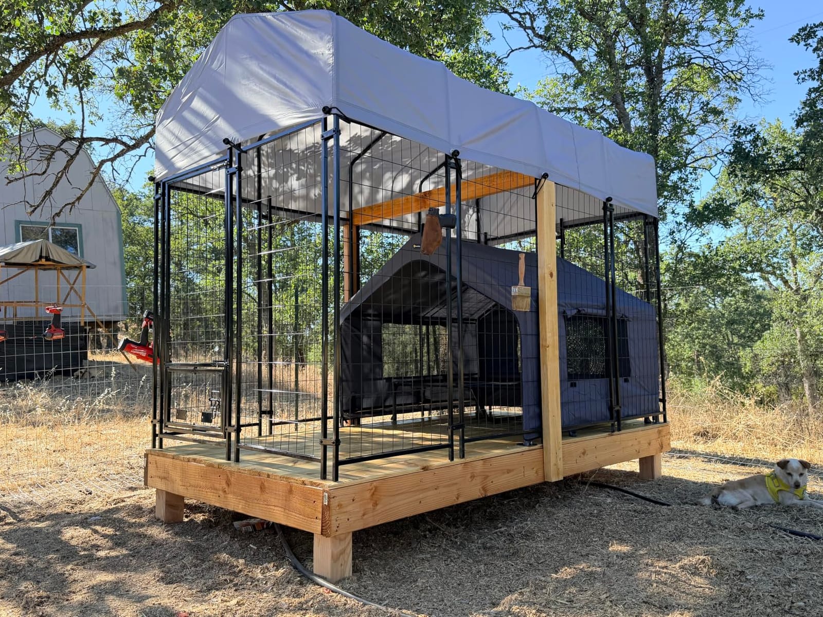 Veehoo Extra Large Dog House Outdoor with Elevated Dog Bed, Outside Dog Tent 4.1' x 4.1' x 3.3', Weatherproof Dog Shade Shelter and Raised Bed Combo for Pets or Stray Animals, Grey customer photo 1