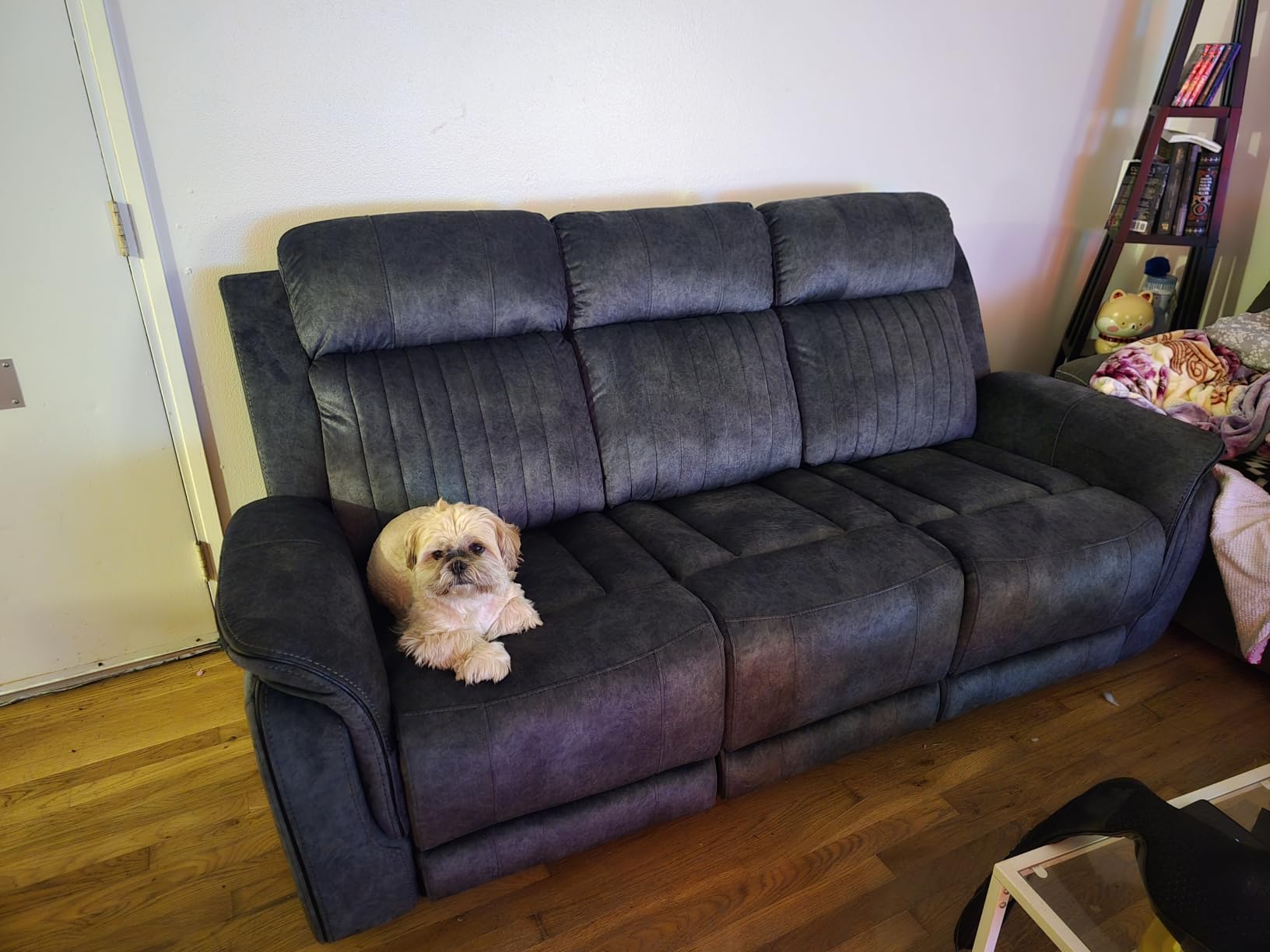 Power Reclining Sofa with Zero Gravity, Electric Reclining Couch with Adjustable Headrest, Wireless Charge, USB/Type-C Ports, 3 Seater Recliner Sofa for Living Room (Blue, 3 Seater Sofa) customer photo 1