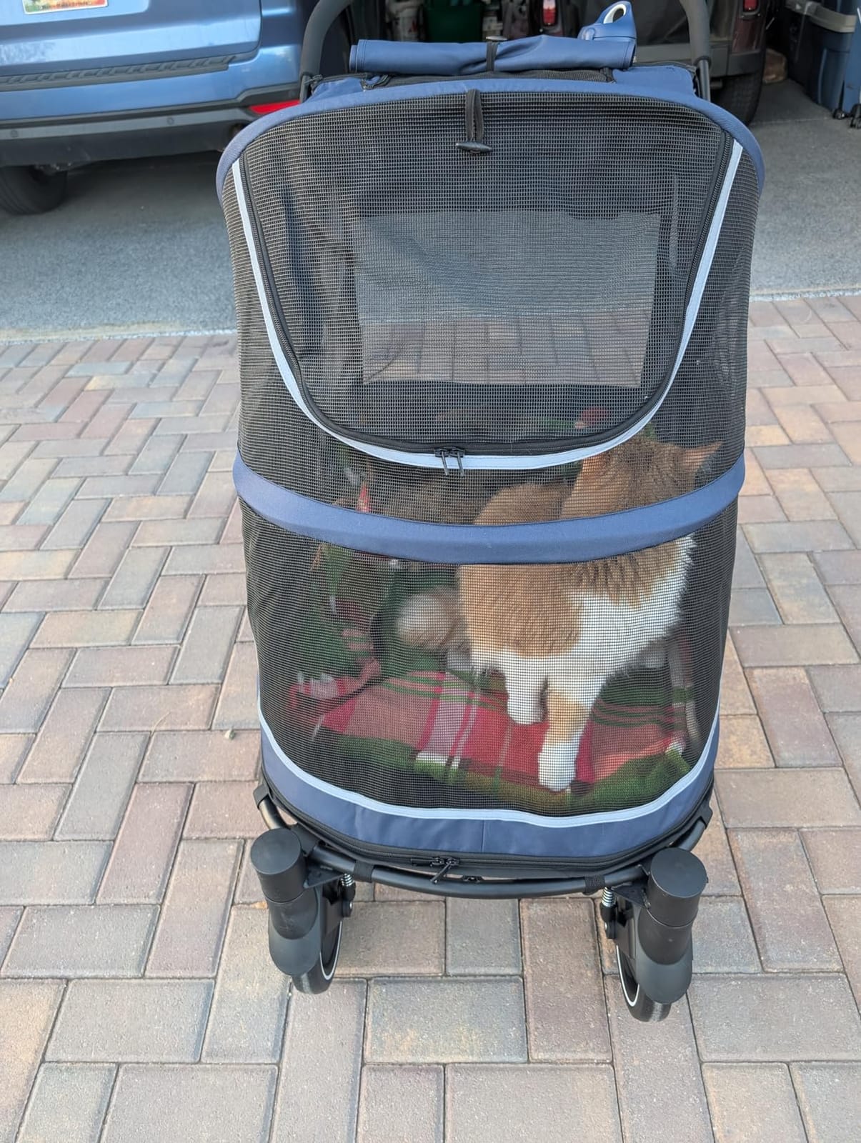 CANINE CANYON All-Terrain Pet Stroller for Large & Medium Dogs | Easy fold, 130 lbs capacity for 2 dogs. Dual entry, 1-foot brake, sunroof & breathable windows for outdoor adventures, Blue customer photo 2