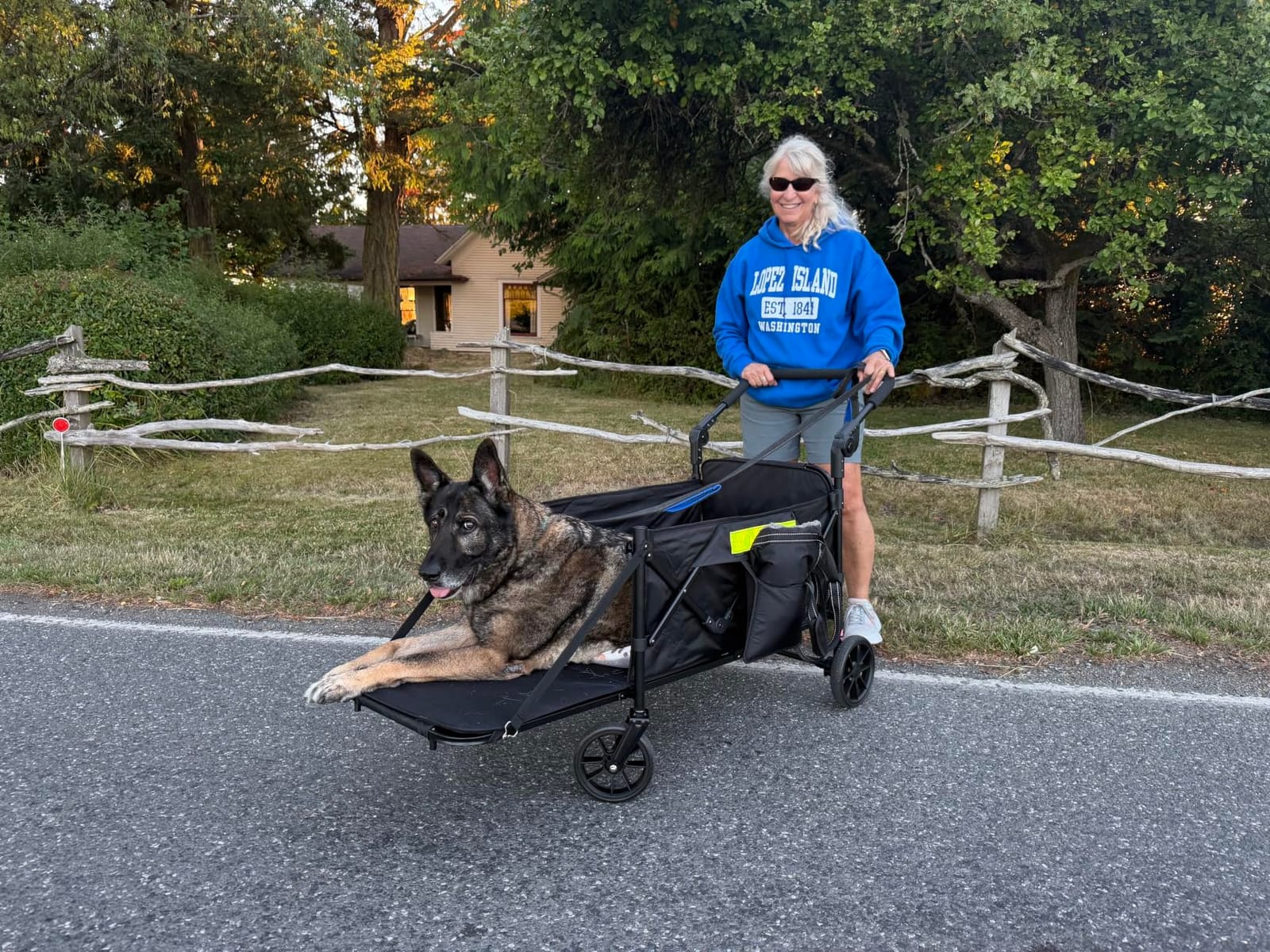 Dog Wagons for Large Senior Dogs with Thick Mat & Lift Harness, Dual-Entry | Foldable & Extendable Elderly Dog Stroller, Heavy Duty Dog Cart Up to 140lbs, Front and Rear Access No-turnaround Needed customer photo 2