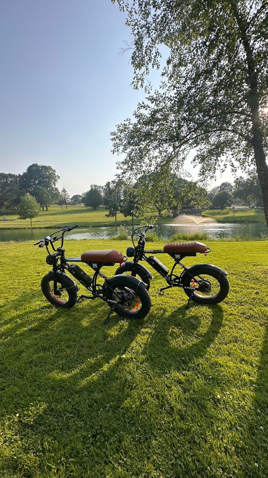 CYCROWN RunMini Moped Style Electric Bike for Adults, 16
