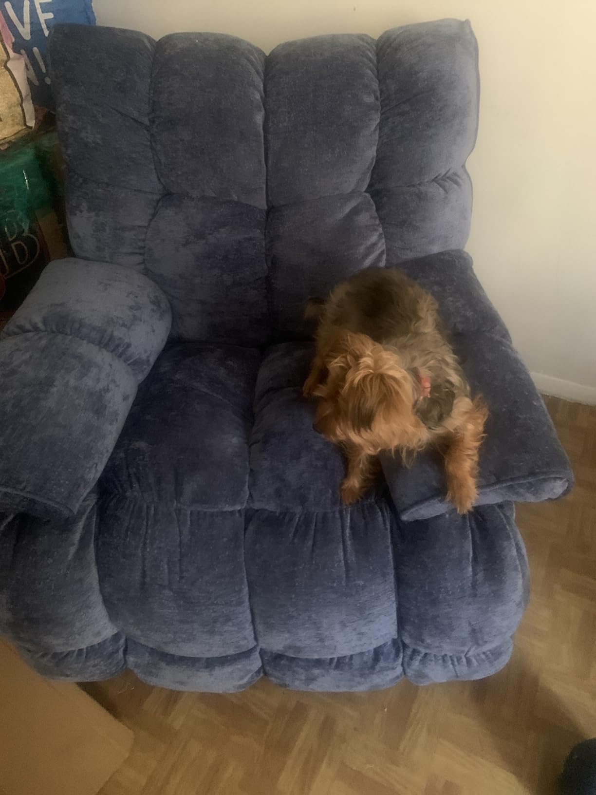 Oversized Power Swivel Rocker Recliner Chair for Big and Tall, Electric Chenille Glider with USB Ports, Extra Wide Overstuffed Reclining Sofa for Living Room Nursery, 375lbs (Brown, Power) customer photo 1