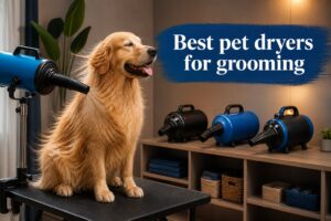 Best pet dryers for grooming
