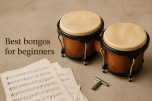 Best bongos for beginners