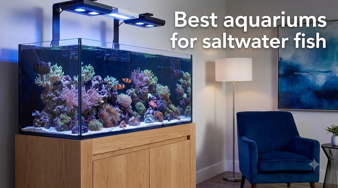 Best aquariums for saltwater fish