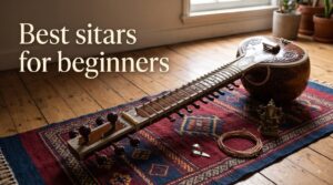 Best sitars for beginners