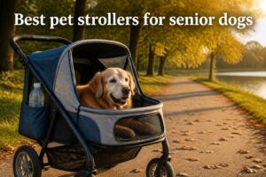 Best pet strollers for senior dogs