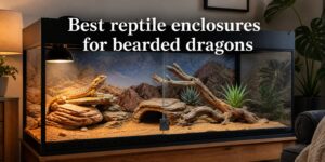Best reptile enclosures for bearded dragons