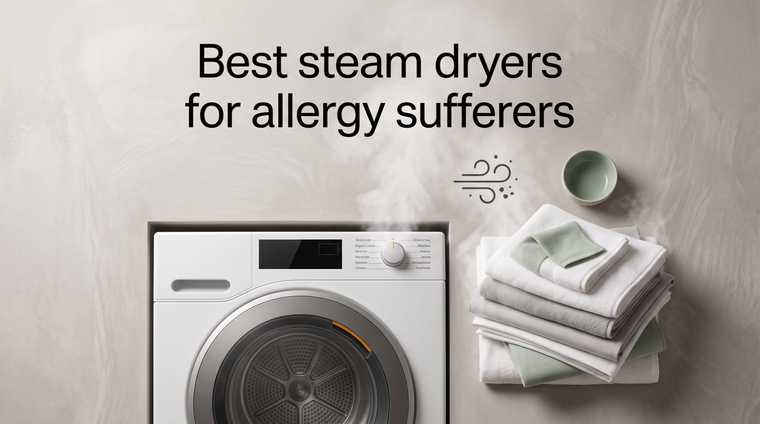 Best steam dryers for allergy sufferers
