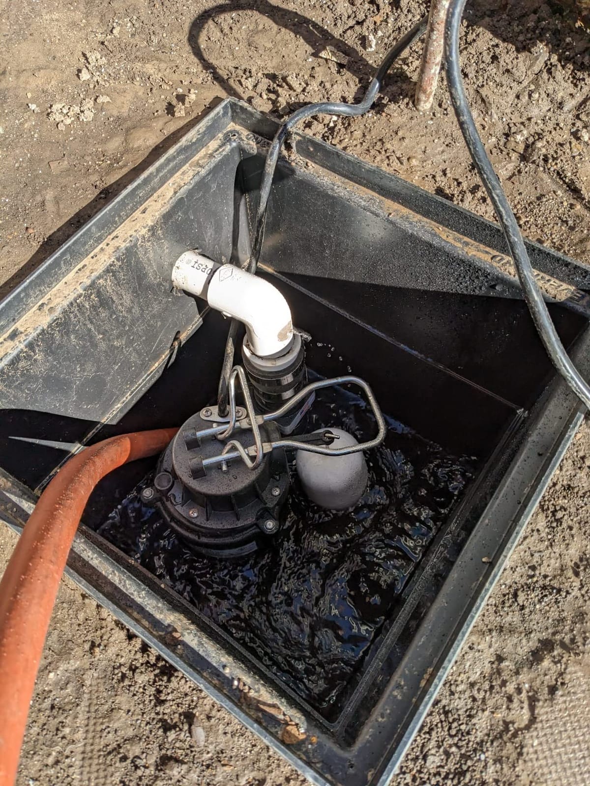 WAYNE CDU800 1/2 HP Submersible Sump Pump – Cast Iron & Stainless Steel, Vertical Float Switch, 5,100 GPH, 3-Year Warranty customer photo 2