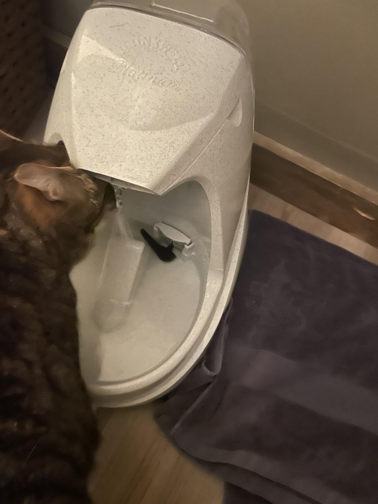 PetSafe Drinkwell Platinum Cat Water Fountain, 168 oz/5L, Grey customer photo 2