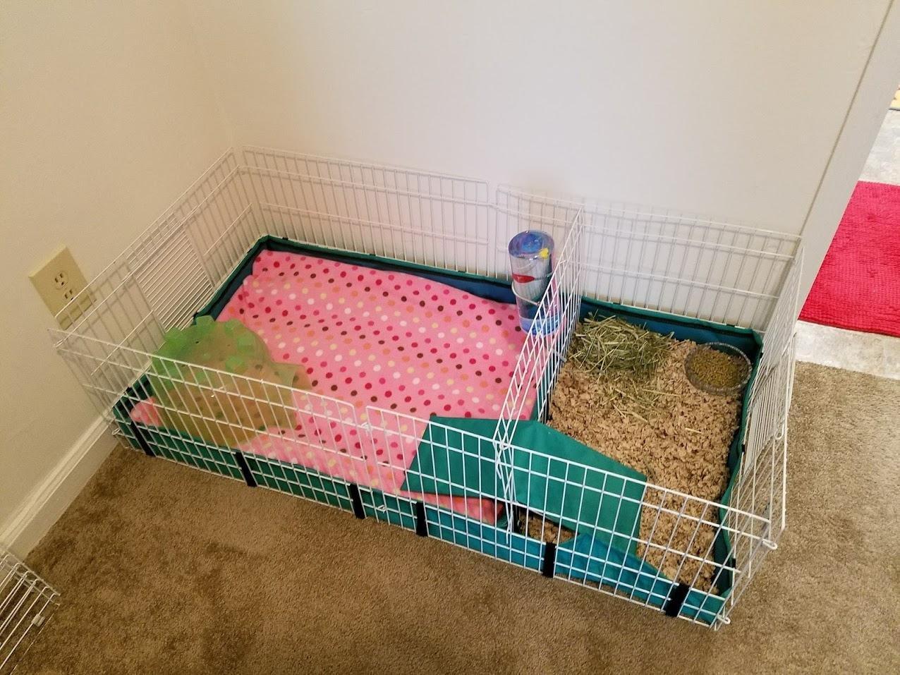 MidWest Homes for Pets Guinea Habitat Plus Cage, Includes Divider Panel and Hinged Top, Washable PVC Canvas Bottom, Expandable Small Animal Cage for Guinea Pigs, 171GHP customer photo 2