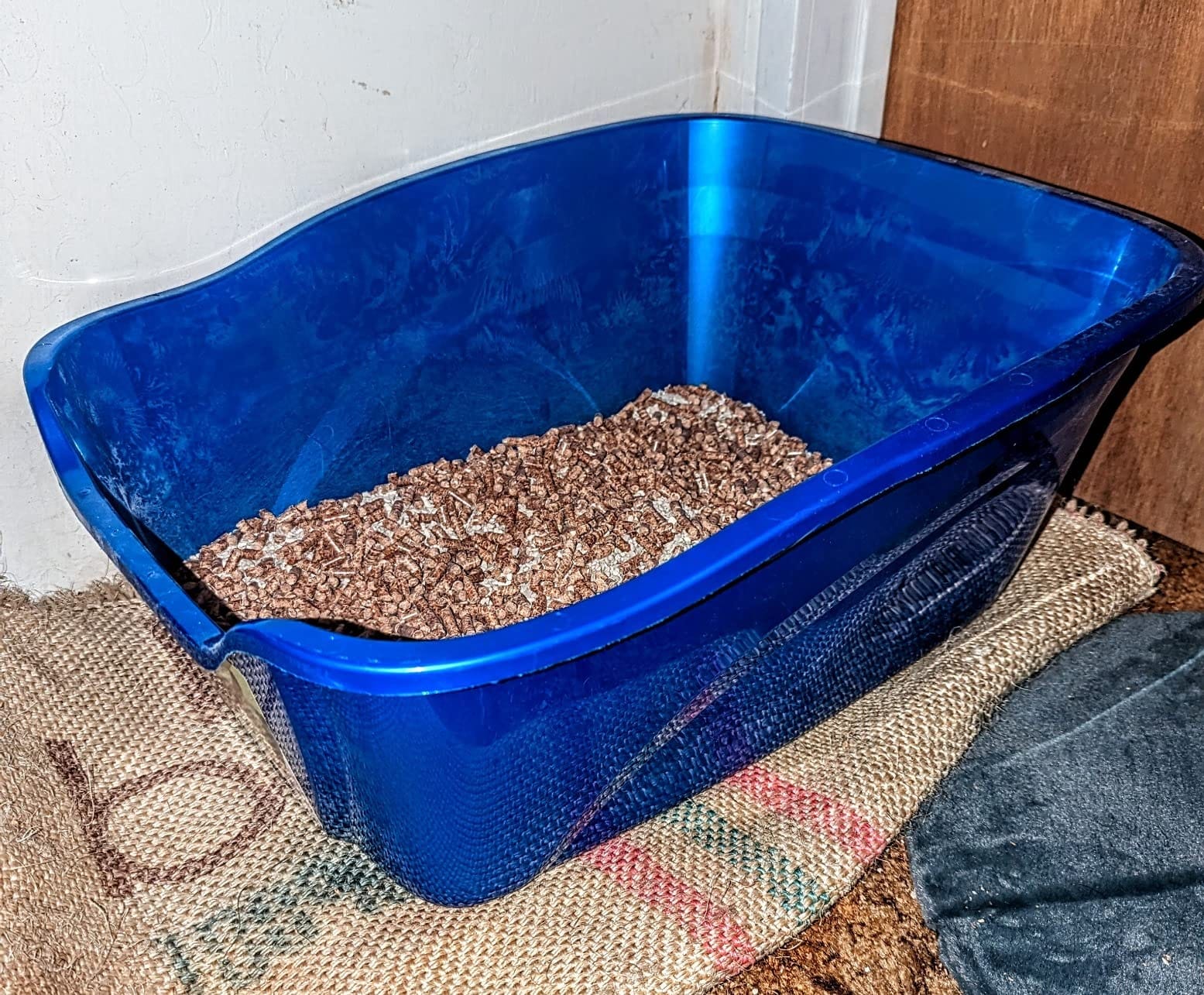 Pureness Giant High Sides Cat Litter Pan, Colors may Vary. customer photo 1