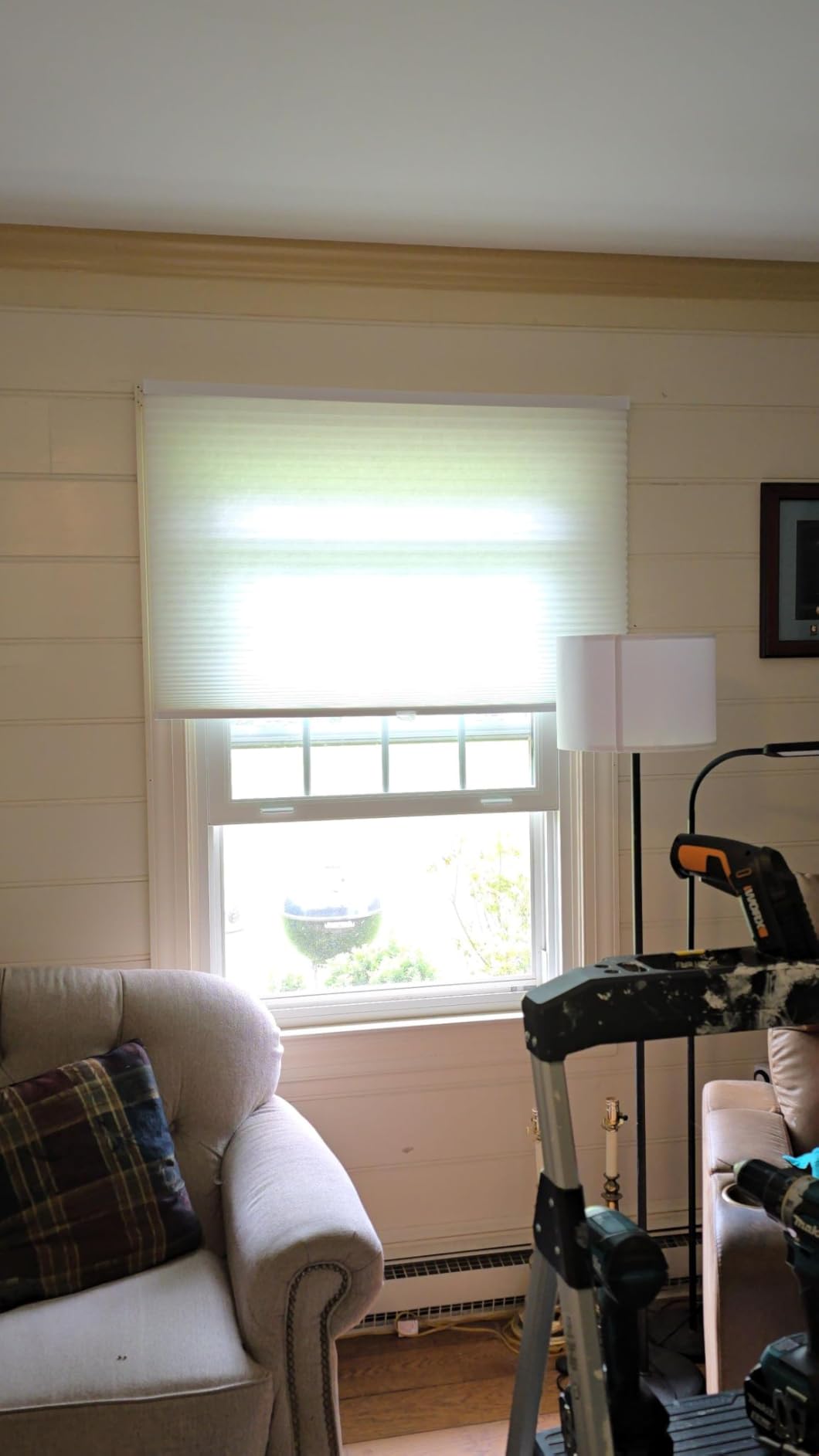 Arlo Blinds Single Cell Light Filtering Cordless Cellular Shades, Color: Pure White, Size: 34
