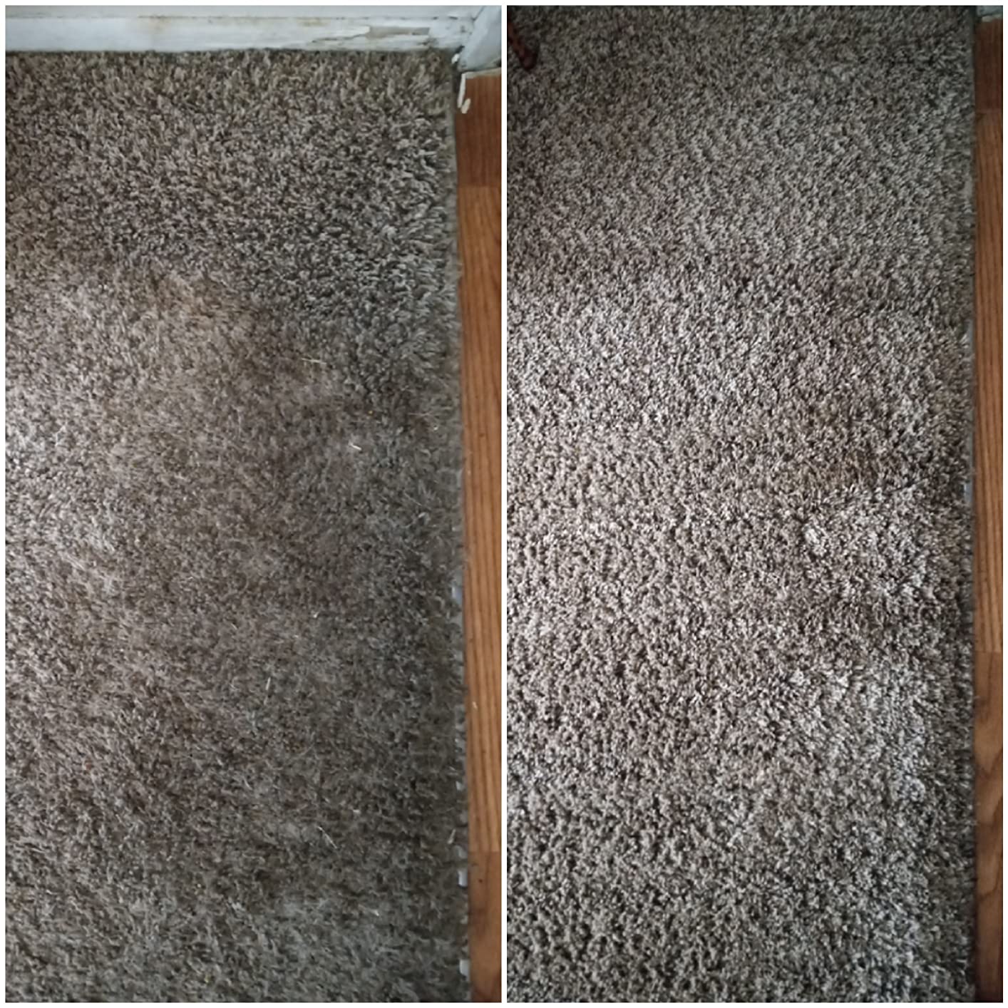 Resolve Carpet Cleaner Spray, Stain & Spot Remover for Carpet, 32 Fl Oz customer photo 1