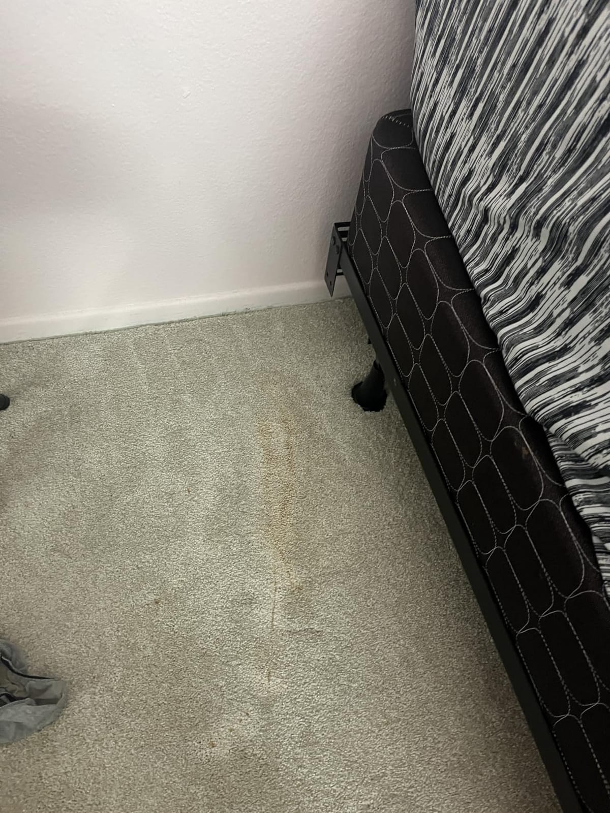 Resolve Carpet Cleaner Spray, Stain & Spot Remover for Carpet, 32 Fl Oz customer photo 2