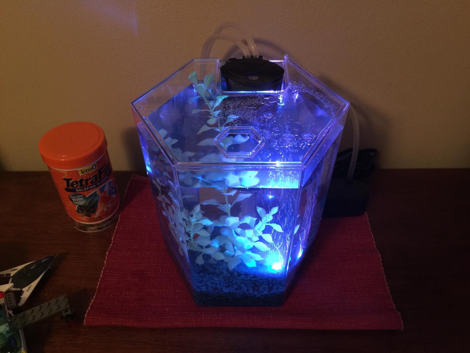 Tetra Starter 1 Gallon Small Fish Tank Kit for Freshwater Fish customer photo 2