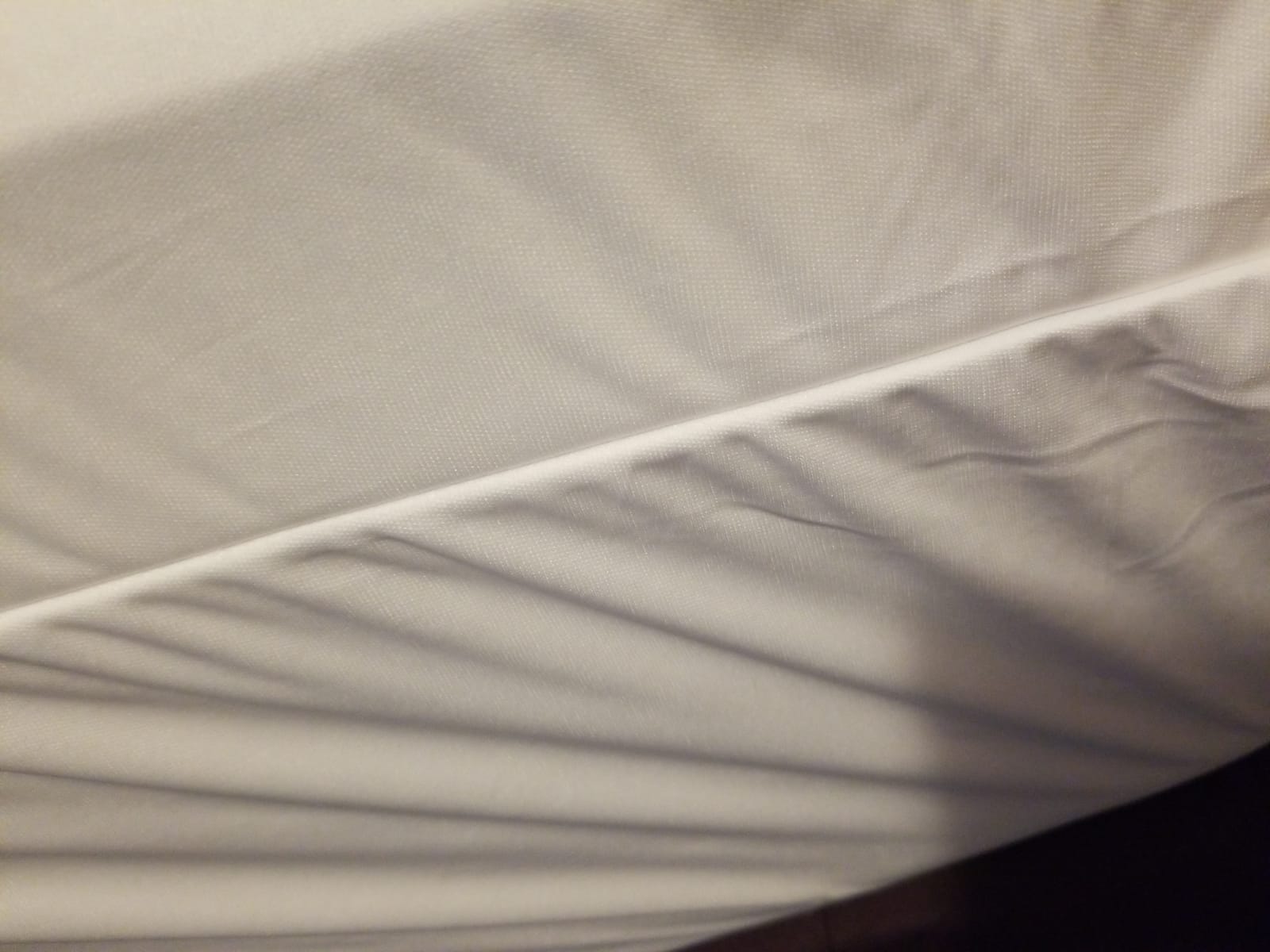 Guardmax Queen Mattress Protector Zippered, Bed Bug Mattress Cover customer photo 1