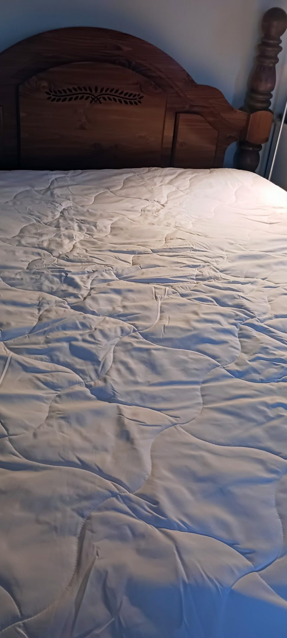 Guardmax Queen Mattress Protector Zippered, Bed Bug Mattress Cover customer photo 2