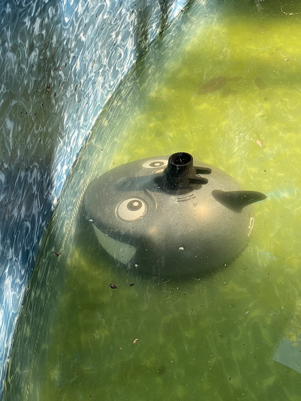 Pentair 360100 Kreepy Krauly Lil Shark Above Ground Pool Cleaner customer photo 1