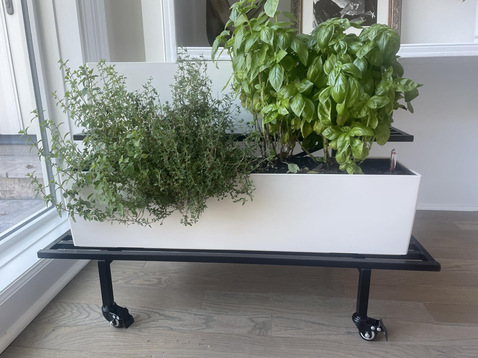 Lechuza 15680 Balconera Color 80 Self-Watering Planter for Indoor and Outdoor Use, 31