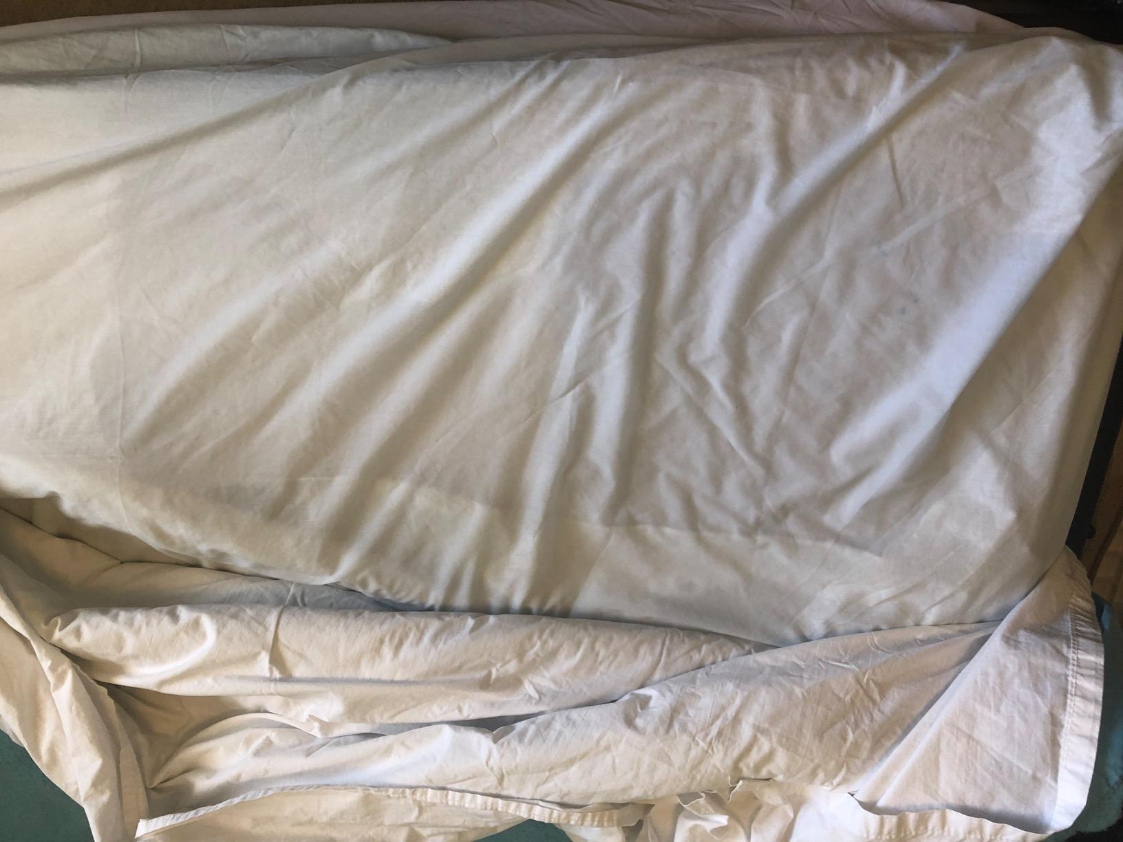 Linenspa Waterproof Mattress Protector — Breathable, Noiseless, Full customer photo 2