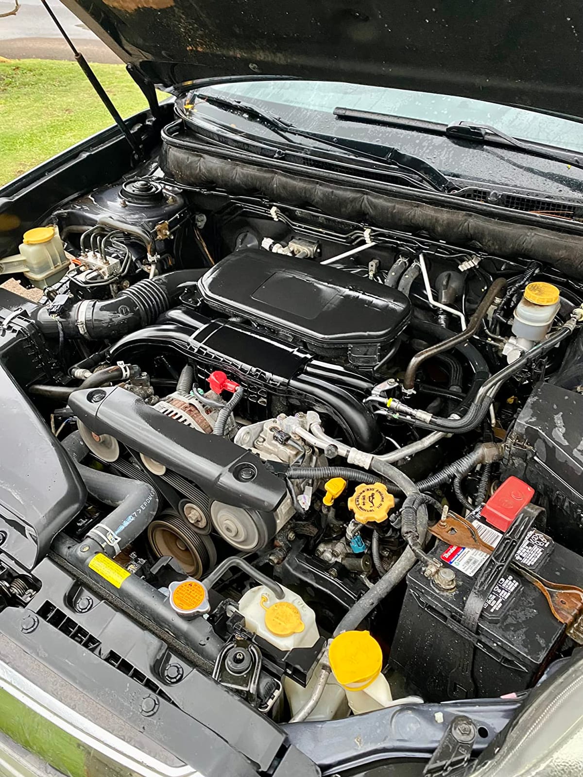 SONAX Heavy Duty Engine Degreaser, Automotive Engine Bay Cleaner, 16.9 oz customer photo 1